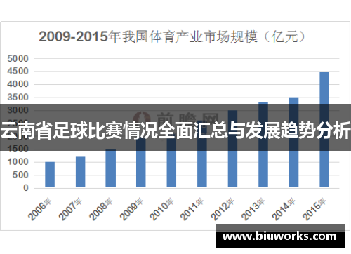 云南省足球比赛情况全面汇总与发展趋势分析